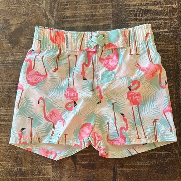 Flamingo Print Shorts - Picture 1 of 5